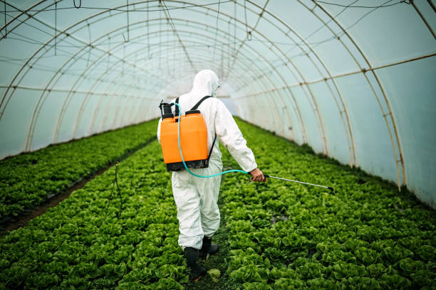 Professional Pest Control in Union City, OH
