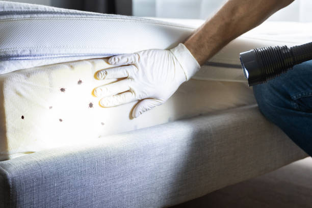 Best Wildlife Control Services  in Union City, OH