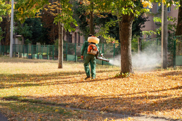 Pest Control Cost in Union City, OH