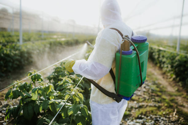Best Cockroach Control Services  in Union City, OH